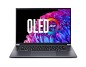 Preview: Acer Swift X 14 OLED SFX14-72G-57B5, Steel Gray, C