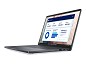 Preview: Dell Pro 14 Premium PA14250 - 35.56 cm (14") - Cor