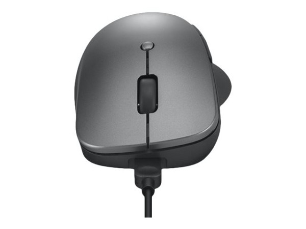 Lenovo Professional - Maus - Bluetooth 5.1 - Storm links