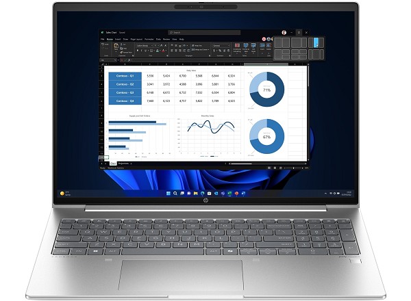 HP ProBook 465 G11 - 16